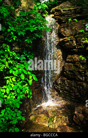 Small waterfall falling down rocks in the forest Stock Photo