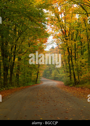 Winding unpaved road through beautiful misty fall nature scenery. Algonquin Provincial Park, Ontario, Canada. Stock Photo