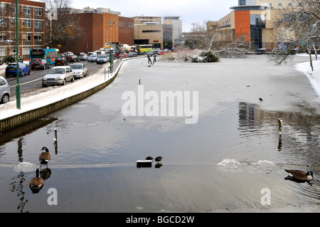 Hemel Hempstead water gardens winter scene, UK. Stock Photo