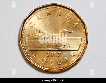 Canadian one dollar coin Stock Photo