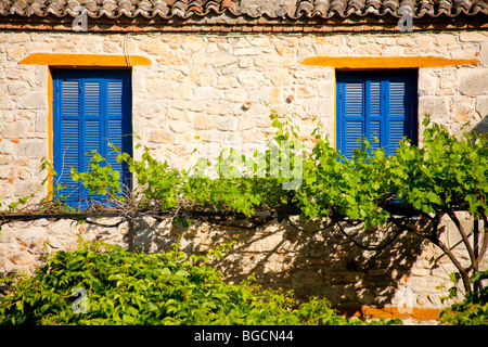 Azure blue shutters closed on windows in a rustic Greek building. Vines extend along below the windows. Stock Photo