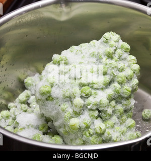 Pile of frozen petit pois peas in stanless steel saucepan waiting to be heated on stove. Stock Photo