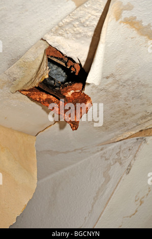 Water damaged ceiling, results of leaking roof Stock Photo