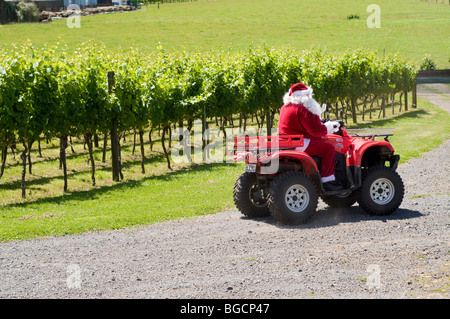 Villigrad winery with farther Christmas riding a quad bike on Christmas day in vineyard Stock Photo