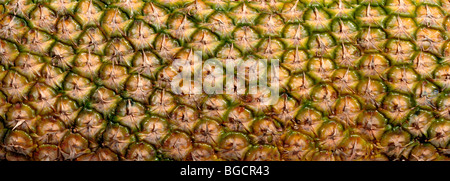Pineapple skin Stock Photo