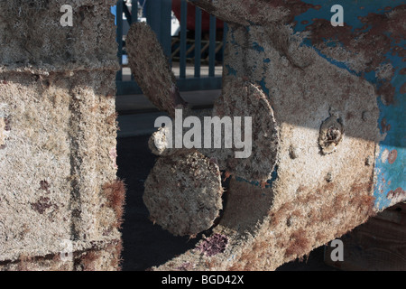Yacht propeller and rudder encrusted with marine growth Stock Photo