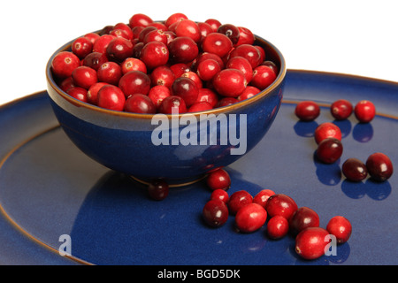 Raw cranberries ready to be prepared Stock Photo