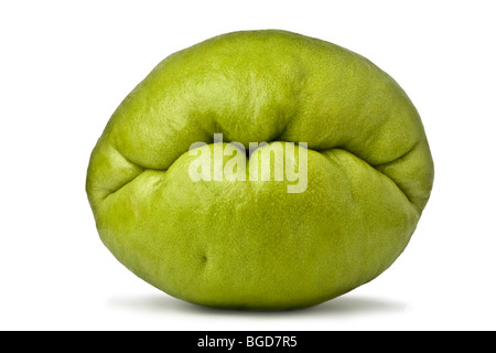 A Chayote (Sechium edule) photographed in the studio on a white background. Chayote photographiée en studio sur fond blanc. Stock Photo
