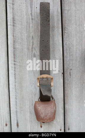 190 Best Images About Bells Will Be Ringing On 190 Best Images About Bells Will Be Ringing On
