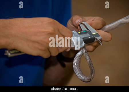 Biologist Studying Twin-spotted Rattlesnake (Crotalus pricei pricei) - Arizona - USA - Measuring rattle Stock Photo