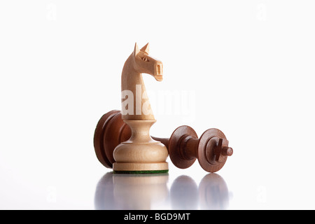 chess - white knight standing over defeated black king Stock Photo