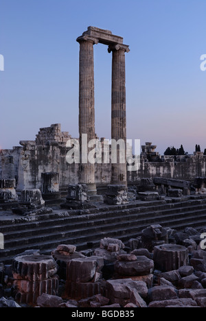 Didim, Didyma, Didymaion, Apollo temple, important oracle, South Aegean coast, southwest Turkey, west coast, Turkey,  Europe. Stock Photo