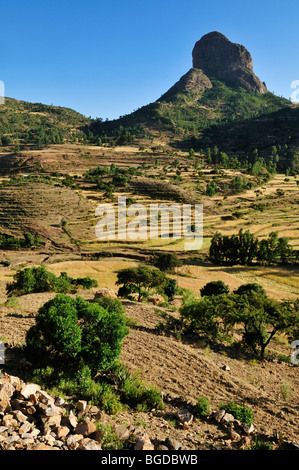 Terraced fields in the Adua, Adwa Mountains in Tigray, Ethiopia, Africa Stock Photo