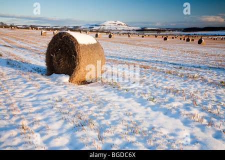 Straw Bales and Largo Law in Winter, Scotland Stock Photo