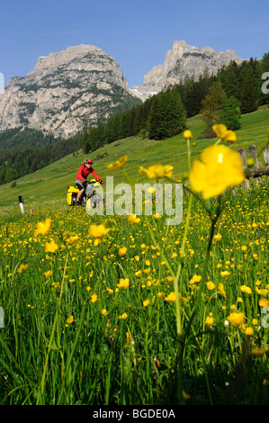 Cyclist, South Tyrol, Italy, Europe Stock Photo