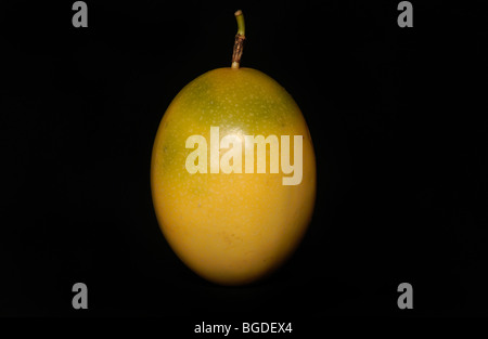 Passion fruit (Passiflora edulis) on dark background Stock Photo