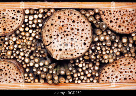 Artificial nest box for wild bees and other insects with wood and elderberry stems, wild bees-nest boxes, insect nest boxes Stock Photo