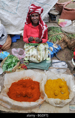 Ethiopian woman at the market of Arsi Negelle selling Piripiri, Oromia, Ethiopia, Africa Stock Photo