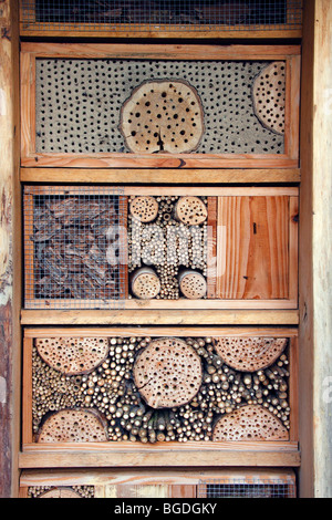 Artificial nest boxes for wild bees and other insects, wood, clay, and elderberry stems, wild bees-nest boxes, insect nest boxes Stock Photo