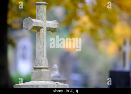 Tombstone with light-colored stone cross in front of colorful autumn leaves, Munich, Bavaria, Germany, Europe Stock Photo
