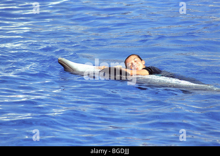 Dolphin Show in Oceanografico in Valenica, Spain, Europe Stock Photo