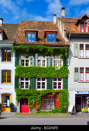 A house wall is completely covered in wine leafs in the historic town of Liestal, Basel-Country, Switzerland. Stock Photo