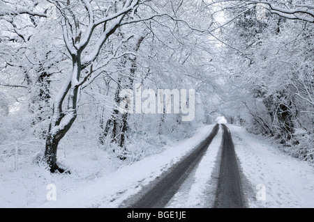 Natural nature wonderland landscape of winter tree branch tunnel of snow & frost winter weather covering country lane Brentwood Essex England UK Stock Photo