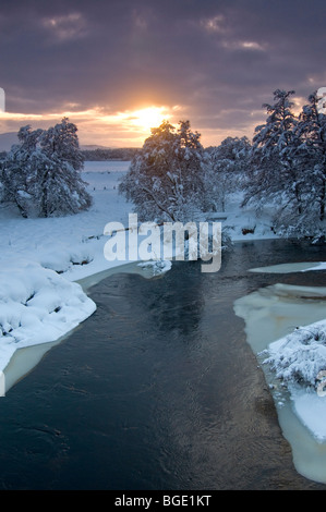 Winter conditions on the River Spey at Broomhill Nethybridge Strathspey Highland Region Scotland.  SCO 5726 Stock Photo