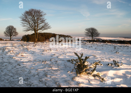 Snow comes to the South Downs National Park and the ancient iron age hill fort of Cissbury Ring. Stock Photo