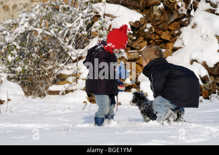 Stock photo of a young eight year old brother and four year old sister playing with a puppy in the snow. Stock Photo
