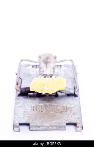 A mouse trap baited with cheese on a white background Stock Photo
