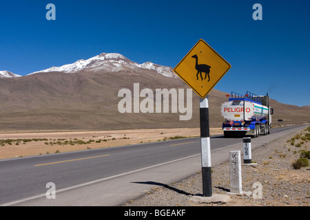 'Beware of llamas' (vicunas actually!) road warning sign and oil truck on high altitude road across the Andes, Peru, S.America Stock Photo