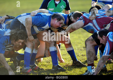 Rugby players from Hove wearing claret and blue shirts and Lewes wearing blue in action during a match Stock Photo