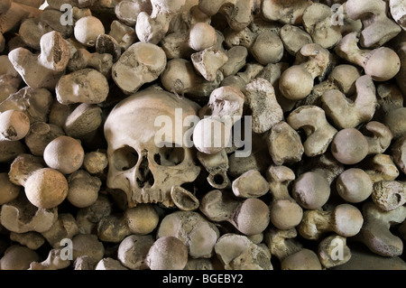 Human skull surrounded by stacked long bones  in the ossuary of St Leonards church, Hythe, Kent, England Stock Photo