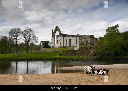 The remains of Bolton Abbey seen from across the River Wharfe Stock Photo