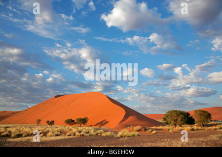 Landscape with desert grasses, large sand dune and sky with clouds, Sossusvlei, Namibia, southern Africa Stock Photo