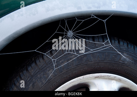 Spiders Web, covered with frost, on a car wheel arch -  most likely to be a temporary home. Stock Photo