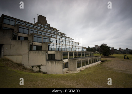 Around the Sainsbury Center for Visual Arts at the UEA Norwich, in Norfolk Stock Photo