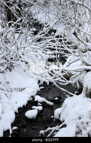 A snow covered mountain stream in Norway with overhanging branches Stock Photo