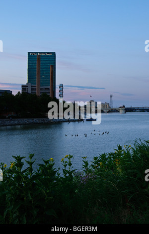 Geese float down Swan Creek towards the Maumee River in downtown Toledo, Ohio Stock Photo