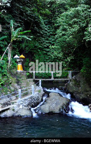 Gitgit Twin Waterfall Singaraja Bali Indonesia Stock Gitgit Twin Waterfall Singaraja Bali Indonesia Stock