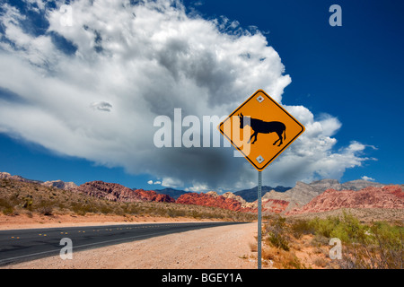 Road, mule sign, thunderstorm clouds and Rock formations in Red Rock Canyon National Conservation Area, Nevada Stock Photo