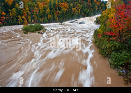 Chippewa Falls along the Chippewa River in flood after a fall thunder storm, Ontario, Canada. Flooding Stock Photo