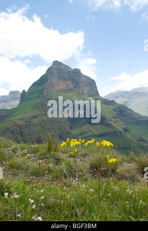 uKahlamba Drakensberg mountain Cathedral Peak Stock Photo