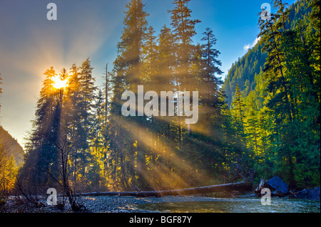 Rays of sunlight streaming through the forest near Virgin Falls along the Tofino Creek, a transition area of the Clayoquot Sound Stock Photo