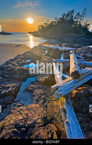 Driftwood strewn over a rocky outcrop along South Beach at sunset, Pacific Rim National Park, Long Beach Unit, Clayoquot Sound U Stock Photo