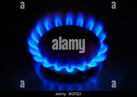 Gas Ring with Blue Flame Stock Photo