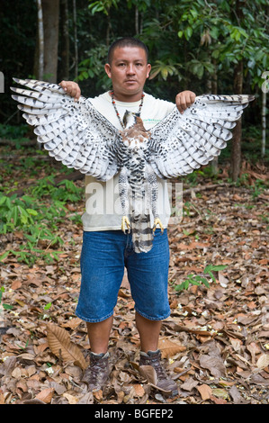 Egbert Frederic nature guide Iwokrama Rainforest with Ornate Hawk-eagle (Spizaetus ornatus) road casualty  Guiana Shield Guyana Stock Photo