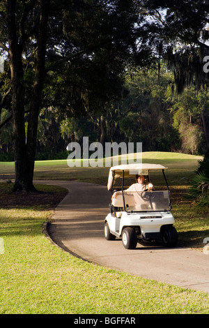 Golf cart path hi-res stock photography and images - Page 3 - Alamy