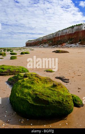 View of the sandy beach and cliffs at Hunstanton in north west Norfolk England UK with seaweed covered rocks in the foreground Stock Photo